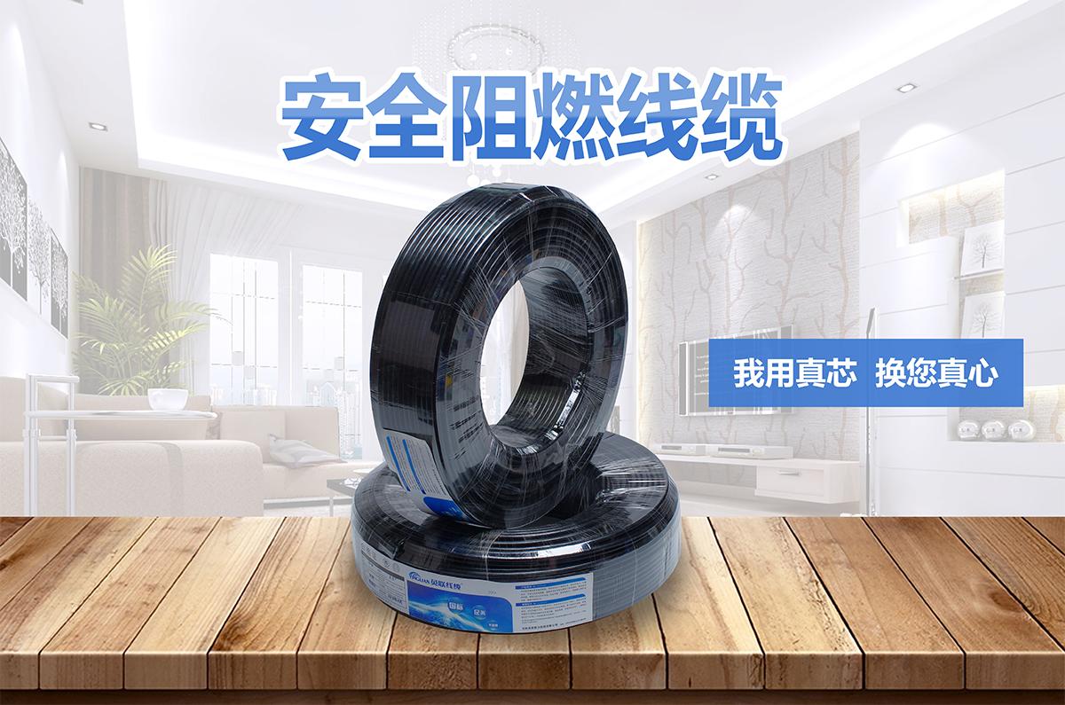 電源線(xiàn)(圖1) 電源線(xiàn)